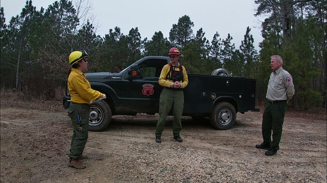 Interview with NC Forest Service YouTube