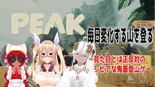 PEAK　ピーク→メカブレ　#おいものこらぼ