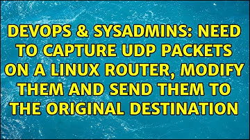 Need to capture UDP packets on a Linux router, modify them and send them to the original...