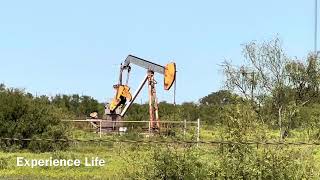 Wild West Oil Pumpjack: The Golden Rhythms of Trent, Texas