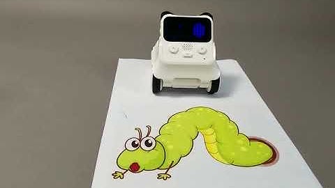 Codey Rocky-The Green Worm