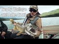 Trophy Walleye and Lake Trout in BC | Fish'n Canada