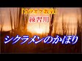 【シニアカラオケ教室】※練習用  シクラメンのかほり 布施明 歌い方の歌詞付き 「シクラメンのかほり歌い方解説動画」こちら&darr;URL 講師:末光