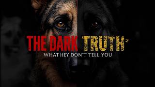 Famous The DARK Truth About German Shepherds Nobody Tells You Profile