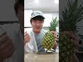 Rek abdullox jentira farakorea qoraka 5000 ananas