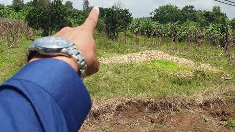 NVT1171 Lô đất cực đẹp xã Bình Giã, huyện Châu Đức dt 2.9 hecta, có 3 đường đi vào giá 26.1 tỷ