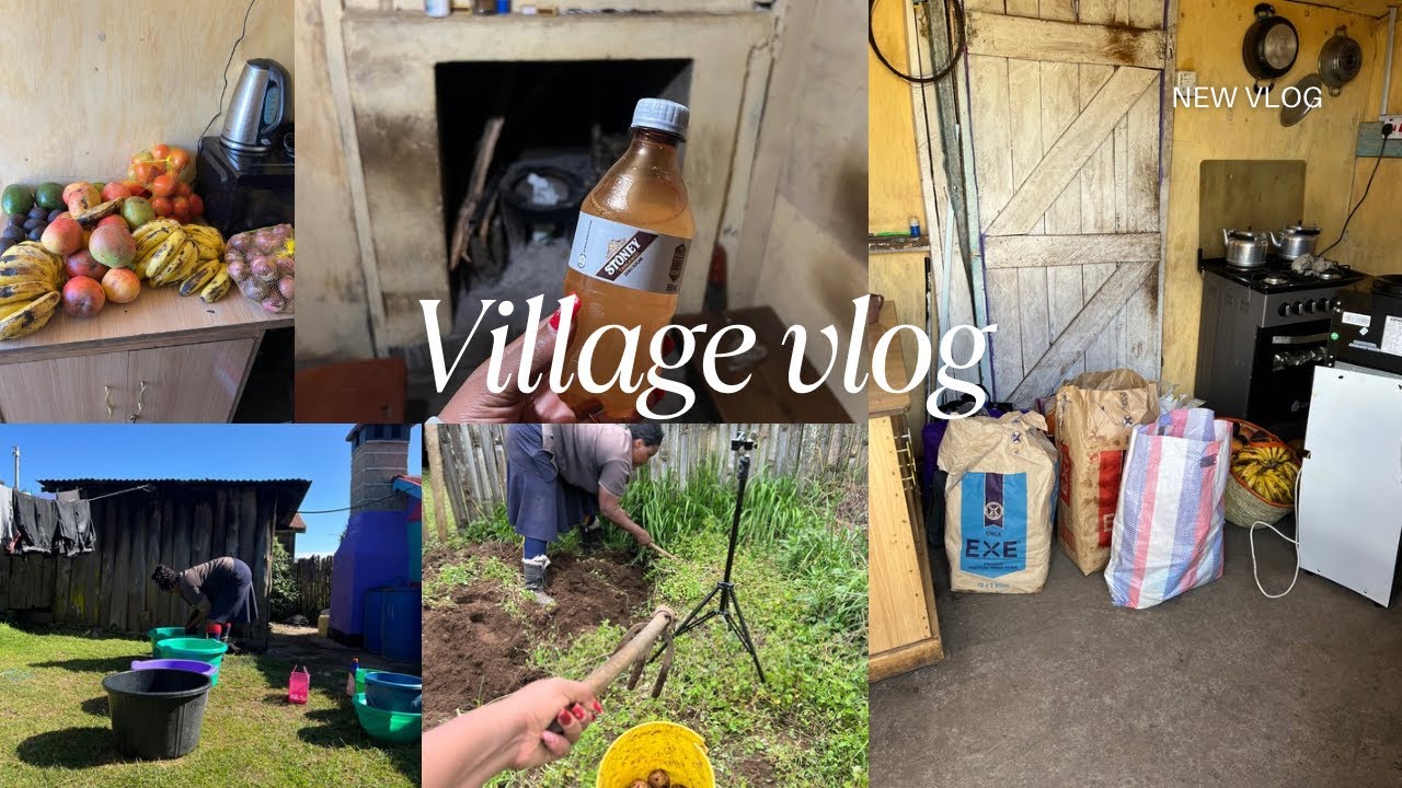 Village life :Our Morning routine in the village ,Shopping grocery haul  ,feeding cows |Village life
