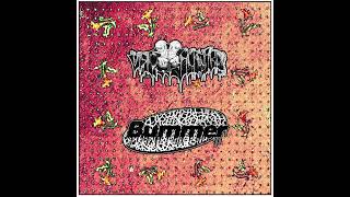 Bummer / Born Backwards - Split (2019)