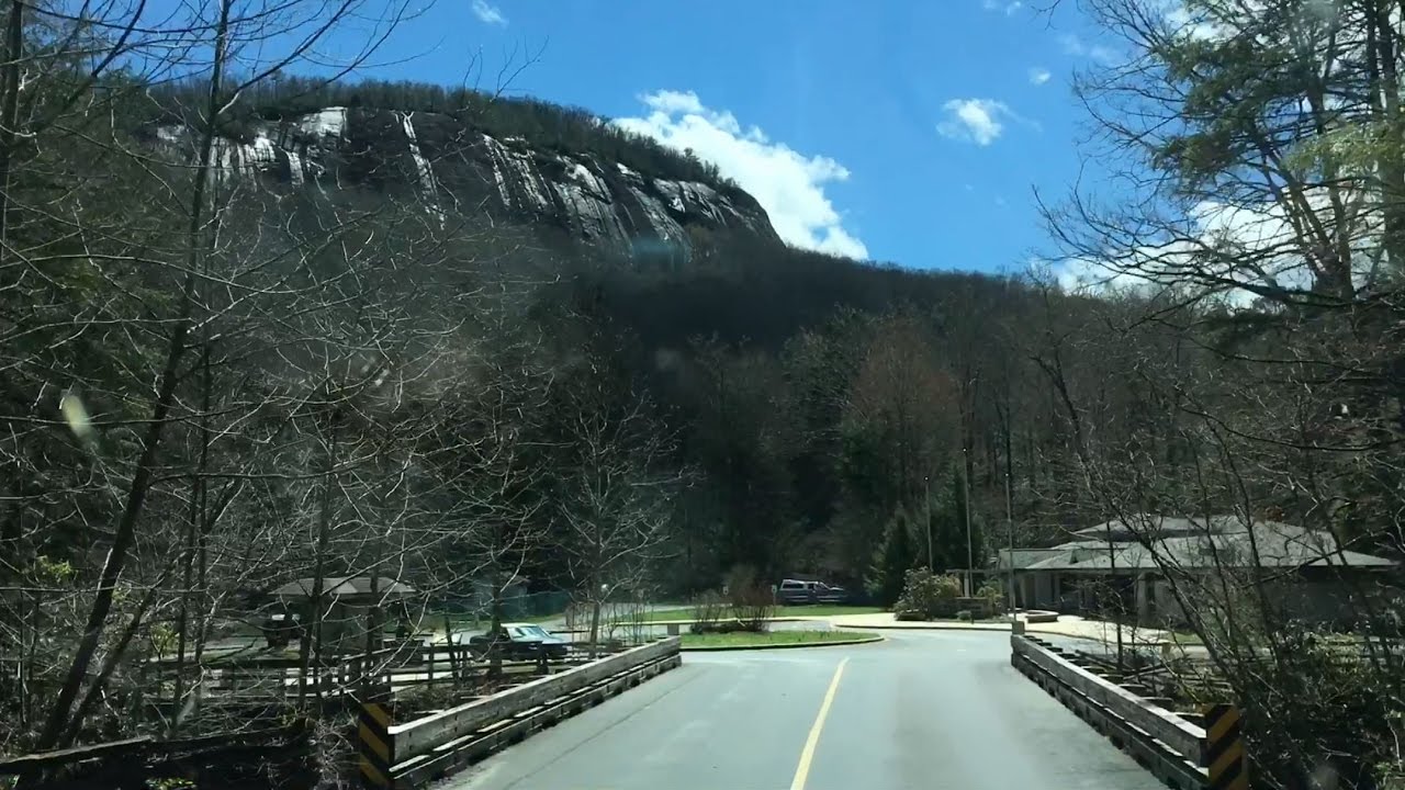 Pisgah Forest / Camping video to gif