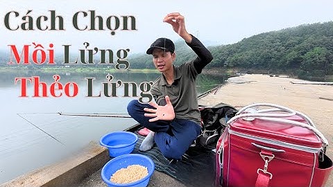 Kỹ Thuật Câu Lửng Chuẩn Nhật Bản l Tập Cuối l Cách Chọn Mồi Lửng Thẻo Lửng l Thực Chiến