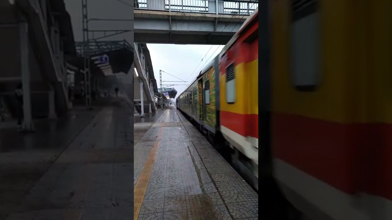 Train with different colour coaches 