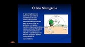 6º Ano A B Lingua Portuguesa Youtube