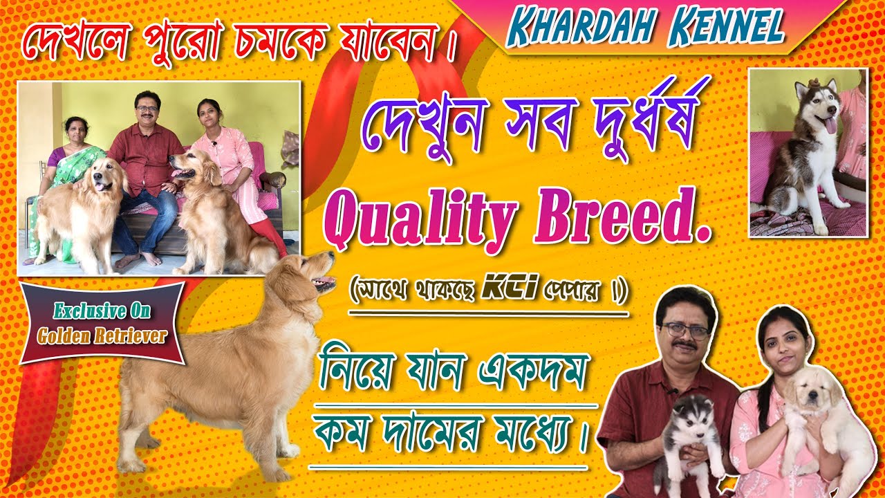 Home Breed Puppies Sell। Best Dog Kennel in Kolkata। Dog Market in Kolkata। YouTube