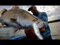 Pche au barramundi avec des jerkbaits deuxime partie