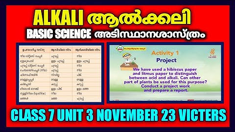 Victers Channel Class 7 Basic Science Worksheet|victers channel class 7 today