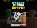 章魚保羅之後最強預言？全球動物集體押注墨西哥！大象、鸚鵡、網紅貓全都選同一邊！#世界杯 #足球 #shorts