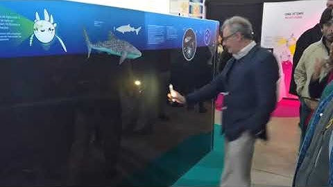 Interactive Wall & ROV Simulation