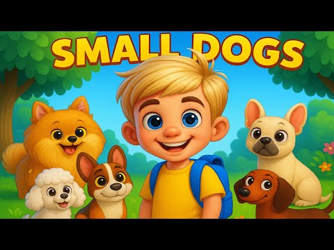 Детский обучающий мультик - МАЛЕНЬКИЕ СОБАЧКИ - КАКИЕ ОНИ ? (SMALL DOGS - WHAT ARE THEY LIKE?)