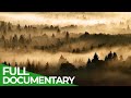 Northern Woods - A Tribute to the Ancient Forests of the North | Free Documentary Nature