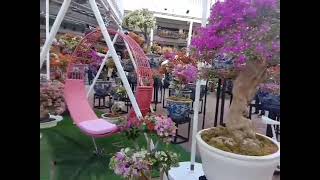 Beautiful place and lovely flowers || Ayala Center Cebu #adventure #beautifulplace #scenery by Hermenia Sacyap 58 views 13 days ago 5 minutes, 5 seconds