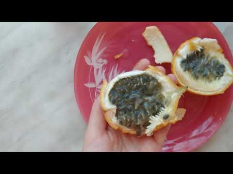 Как есть гранадиллу (экзотический фрукт)