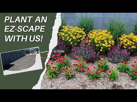 From Empty Bed to Stunning Landscape using EZ-Scapes | Walters Gardens