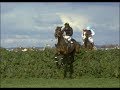 The BBC Grand National 1984 - Hallo Dandy