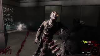 Call of Duty: Black Ops Custom Zombies - Facility (DS zombies)