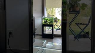 Updating The Gallery