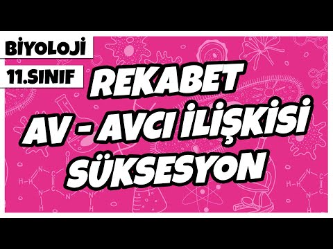 11. Sınıf Biyoloji - Rekabet, Av - Avcı İlişkisi, Süksesyon | 2022