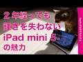 やっぱり iPad mini 5が好き！2年経っても輝きを失わない魅力・もうすぐ2年で改めて良さを語ります