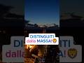 Distinguiti dalla massa!🦁