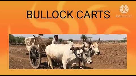 MLZS JHANSI CLASS 4 EVS Chapter 15  Different Rides Lecture 1