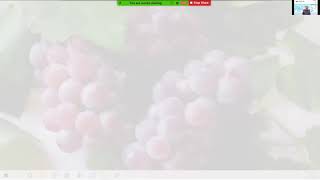 Virtual L&D Conference - Case Study Expert Speaker Presentation by Zakariya Ease (Zaki)
