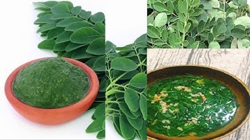 Cây Chùm Ngây có những tác dụng gì || Những lưu ý khi Sử dụng