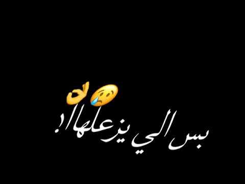 مين يقدر يجي عليها و انا عايش و موت امه بنوتي تزعل كلو مودى امين