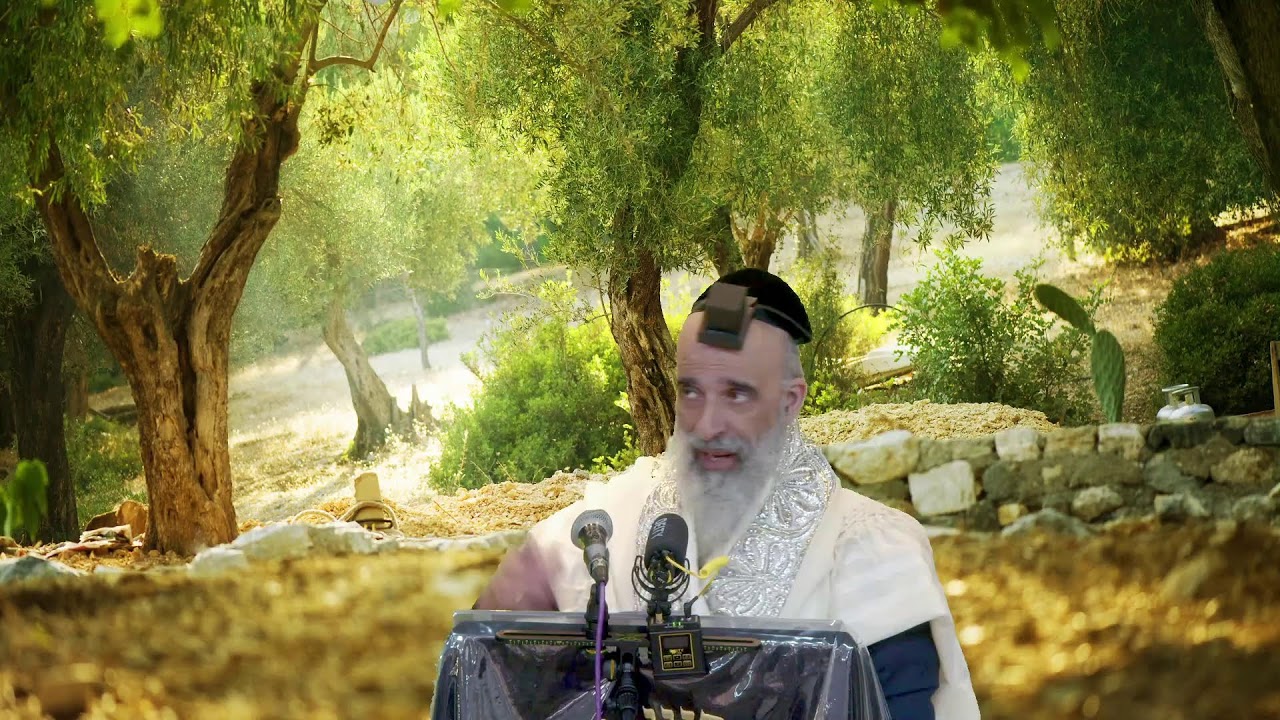 שיחתו של מו"ר ראש הישיבה הרב מאיר דוד שמואלי שליט"א בנושא : החל מי"ד אייר במשך שבוע זמן מסוגל לגאולה