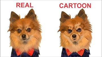 How to Trace Animal into Vector with CorelDraw | Vector Pet