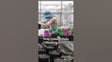 tricking plants for science!