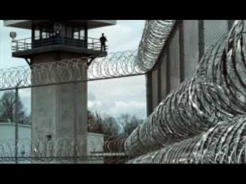 BBk პატიმრის სიყვარული (2019) გამოცდები