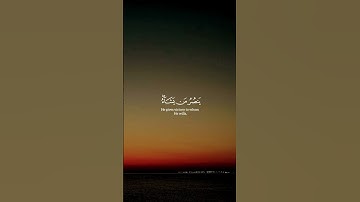 القرآن الكريم راحة نفسية 💗 #اكسبلور #ياسر_الدوسري #راحة_نفسية #quran