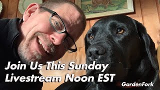 Live With Eric + Labs