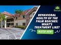 Behavioral health of the palm beaches whats treatment like