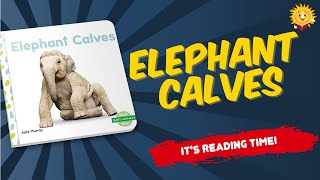 Elephant Calves (Abdo Kids) | Reading Books For Kids