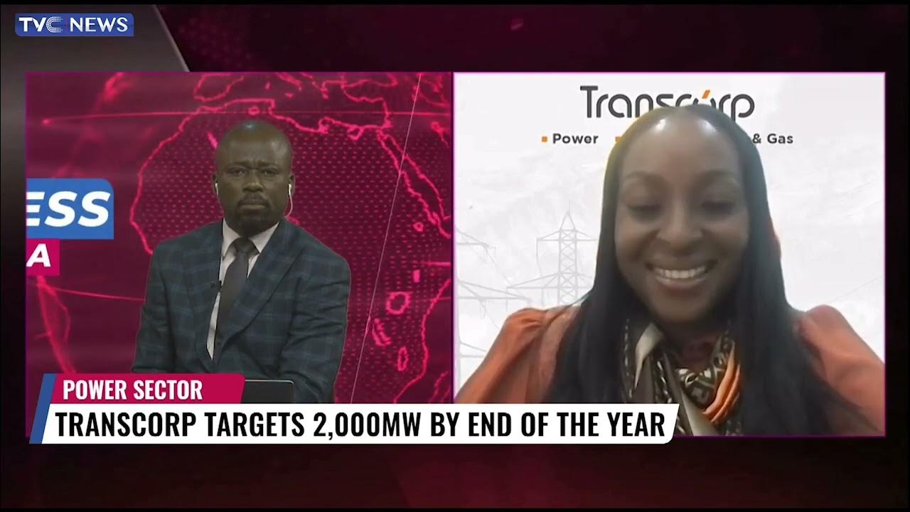 Transcorp-Led Consortium Acquires 60 Percent In AEDC