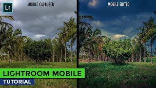 Landscape Editing with Selective Tools in Lightroom Mobile | Android | iPhone screenshot 4