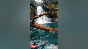 مقتطف من نهايات يوسف القارئ أحمد عنيزات
