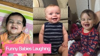 Funny Babies Laughing Hysterically Compilation 2019