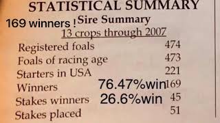 MONARCH AH  3/23(19-3-0)14-3  Pure Polish stallion  14:3 hh