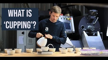 What is Coffee Cupping? (Cupping Process Explained)